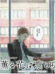 蚂蚁影视 向往的生活